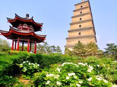 -大慈恩寺(大雁塔)