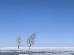 -青海湖国家重点风景名胜区