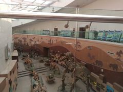 -陕西自然博物馆