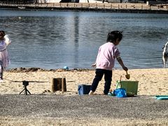 -上海月湖雕塑公园