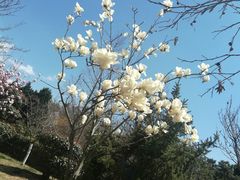 -贮水山儿童公园