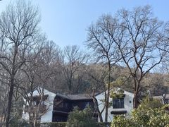 -青花餐厅(雅谷泉山庄酒店)