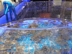 -千百叶海鲜自助餐厅(万达广场店)