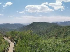 -大岭沟猕猴桃谷风景区