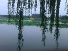 -白洋淀景区