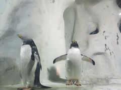 -南昌海洋公园
