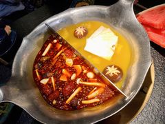 台式麻辣花胶鸡鸳鸯锅-湊湊火锅·茶憩(世博大道店)
