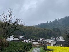 -塔川景区
