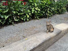 -荔湾湖公园