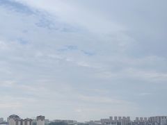 -九龙湖公园