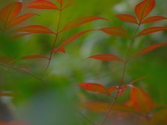 -法云古村
