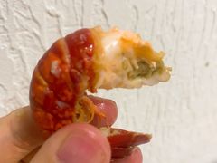 -怪怪龙虾·澳洲蓝龙王·深夜食堂(惊驾路店)