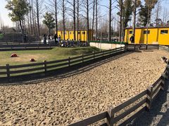 -前小桔亲子创意农场·草莓采摘·露营烧烤