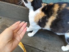 -川白楼·老成都院坝川菜鱼鲜馆(马鞍路店)