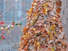 -腾爱熊猫咖啡生活馆(老东门店)