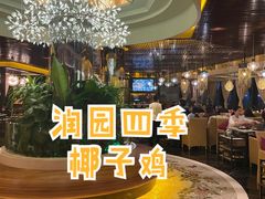 -润园四季椰子鸡火锅(海上世界店)