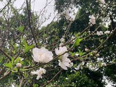 -乌山风景区