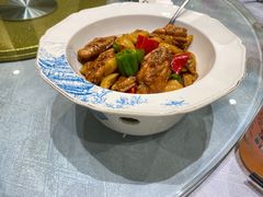 -丁老爷子苏香圆