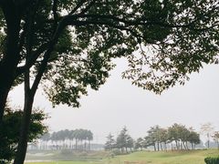 -颖奕安亭高尔夫俱乐部