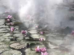 -河北省园博园