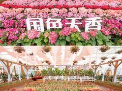 -美的鹭湖森林度假区