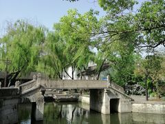 -鲁镇