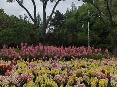 -苏州上方山国家森林公园
