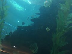 -鸿通城购物中心