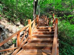 -大岭沟猕猴桃谷风景区