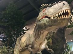 -湖南省地质博物馆