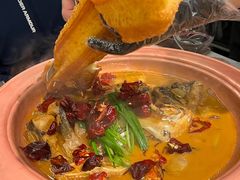 -柿合缘新京菜(国金中心商场店)