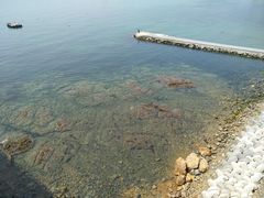 -星海湾跨海大桥