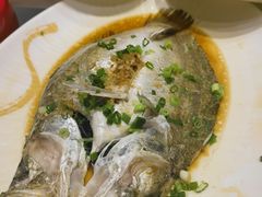 -鞍山大白鲨美食酒店