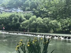 -贵阳市花溪国家城市湿地公园