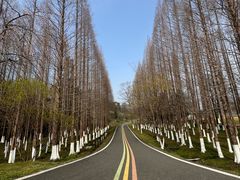 -宜兴龙背山森林公园