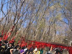 -帽儿山风景区