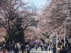 -吉林大学(南岭校区)