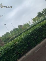 -HEYAN长风荷妍专业脱毛美肤
