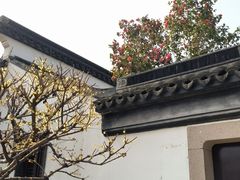 -寒山寺