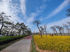 -芒洲湿地公园