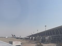 -上海浦东国际机场-T2航站楼