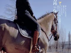 -北京群众马术培训基地
