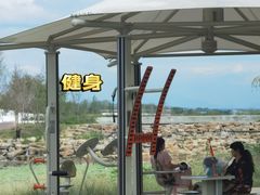 -灞河西岸滨河公园