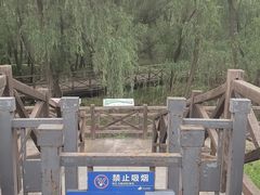 -鱼嘴湿地公园