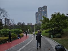 -龙头寺公园