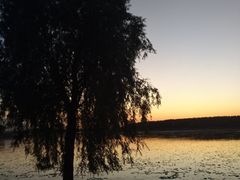 -丁香湖公园