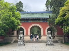 -灵谷景区