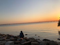 -宝安西湾红树林湿地公园