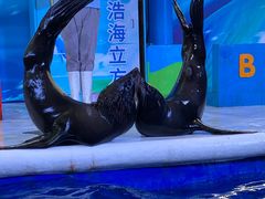 -成都浩海立方海洋公园