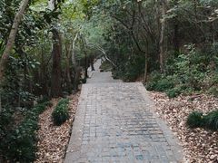 -紫金山山顶公园